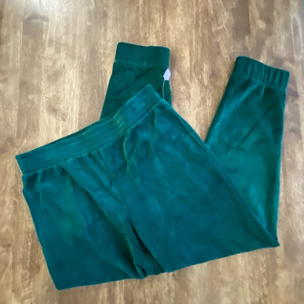 Wild Fable Velour Jade Green Joggers